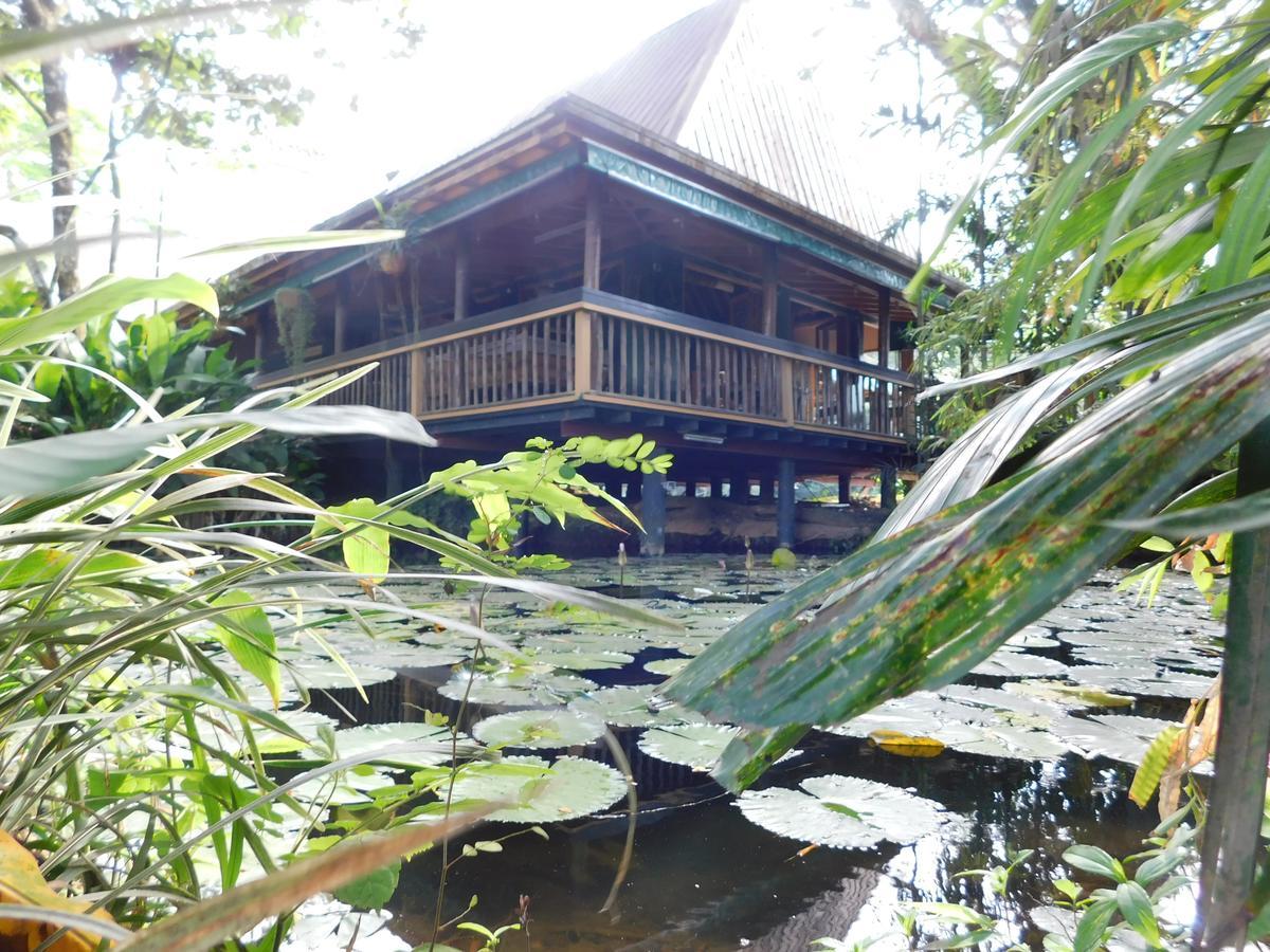 Rainforest Eco Lodge Suva Exterior foto