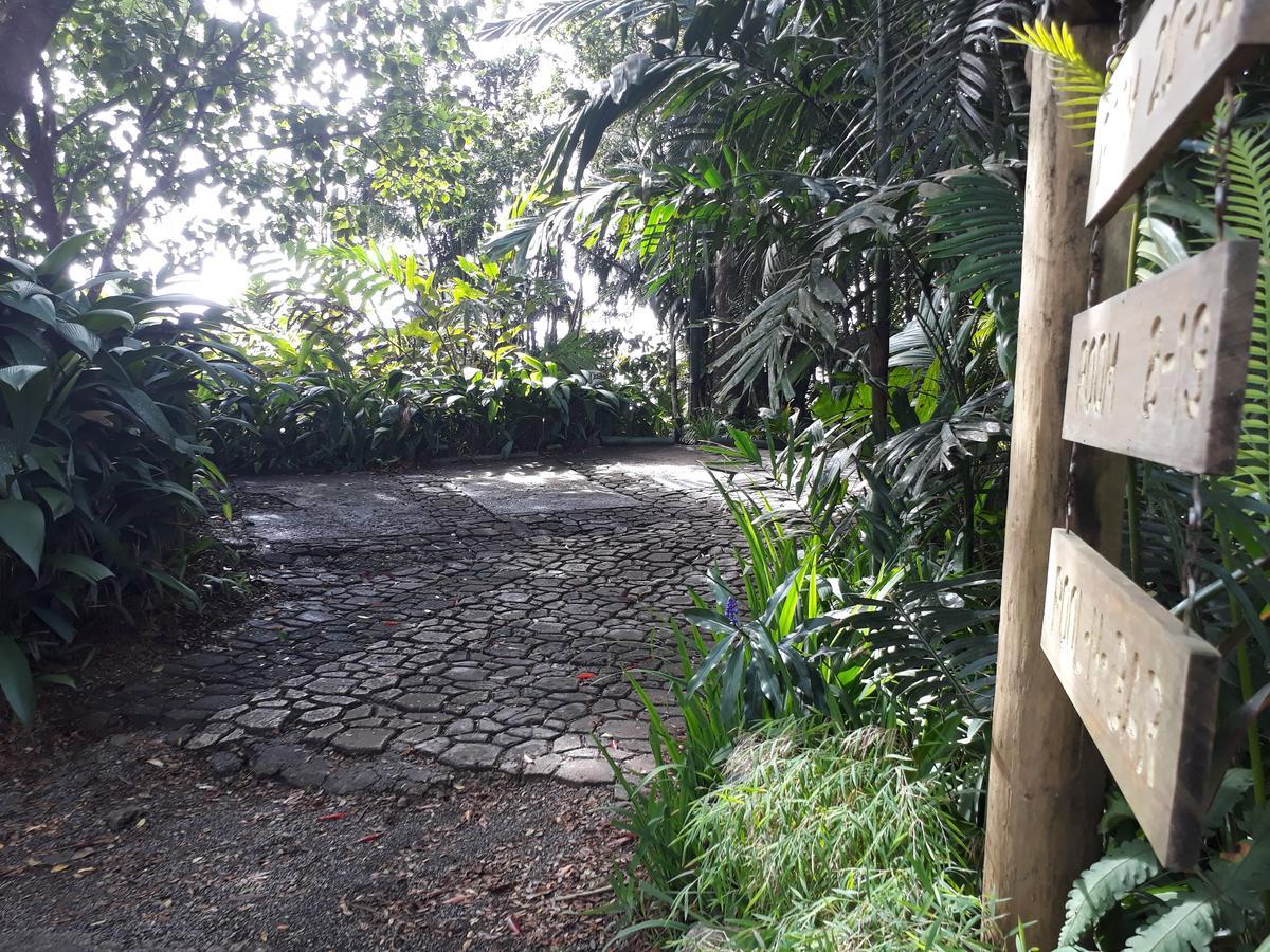 Rainforest Eco Lodge Suva Exterior foto